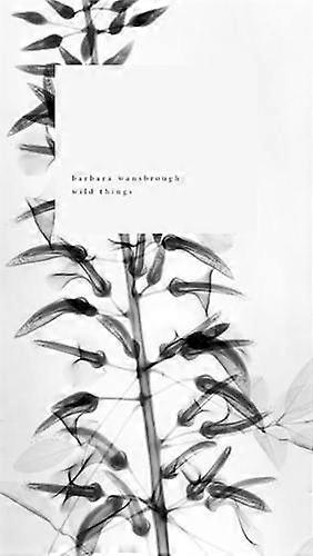 Wild Things by Barbara Wansbrough Paperback