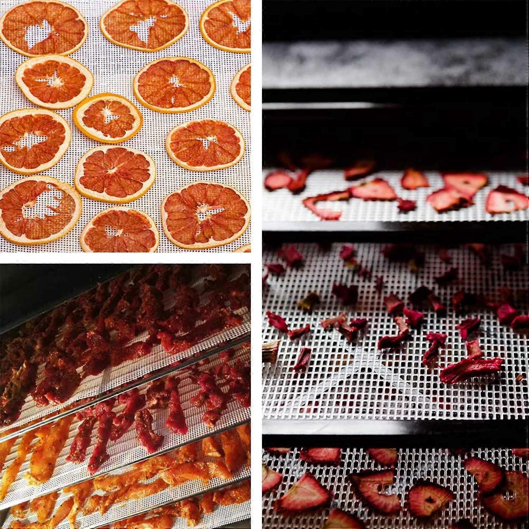 Non-Stick Silicone Dehydrator Sheets,Fruit Dehydrator Mats Reusable Steamer Mat Mesh Sheet for Fruit Dryer 40 Pcs