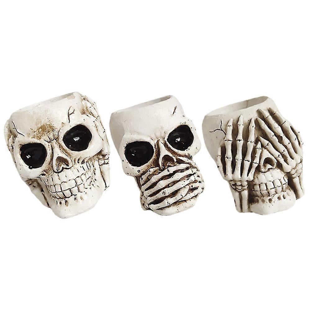 Creative Skull Shaped Flowerpot Resin Planter for 3Pcs Indoor Use