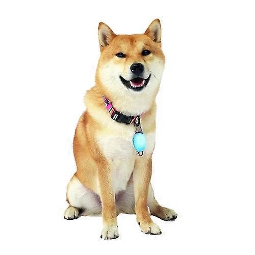 M-Pets LED Dog Collar Light