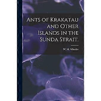 Krakataun ja muiden Sunda-salmen saarten muurahaiset.