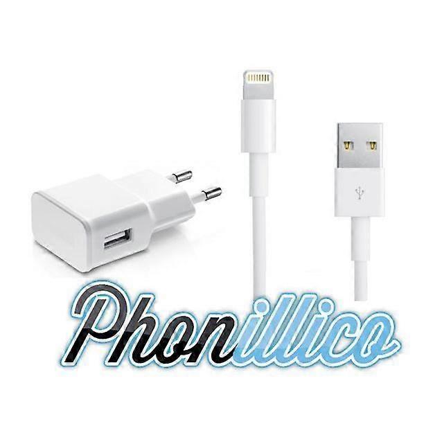 Câble de chargeur mural USB compatible avec l'iPad Mini 1