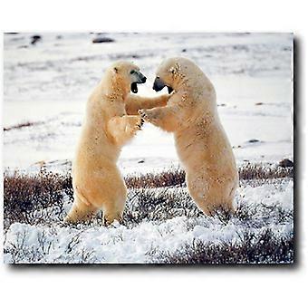 Jigsaw Puzzles Wildlife Animal Polar Bears Fighting in Snow VV869