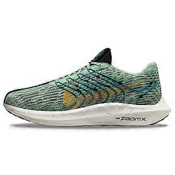 Nike Pegasus Turbo Next Nature 5 Borough Tour DZ4850-300