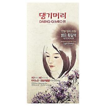 2 x DAENG GI MEO RI, Medicinal Herb Hair Color, Light Brown, 5 Piece Kit