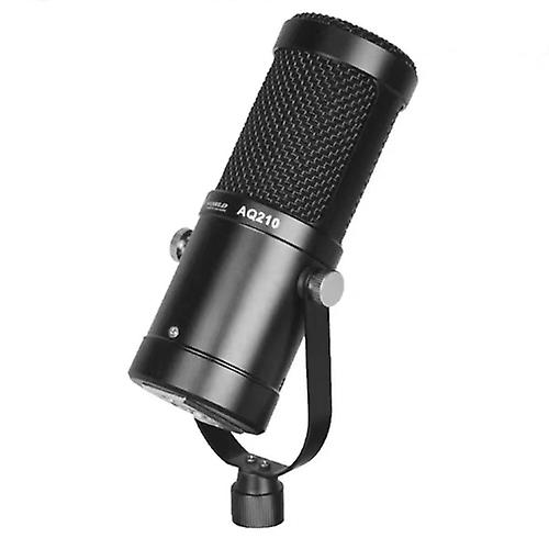 Aq-210 K Song Live Recording Capacitor Microphone