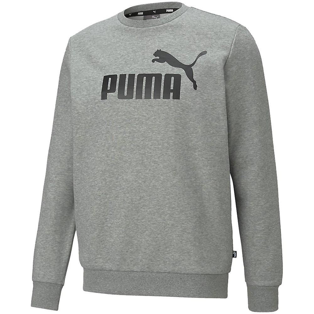 Puma Ess Big Logo Crew FL 58667803 training all year men