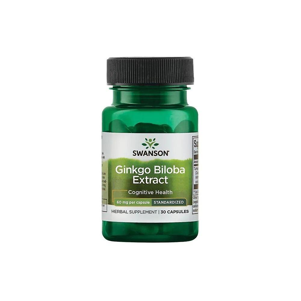 Swanson Ginkgo Biloba Extract BI6919