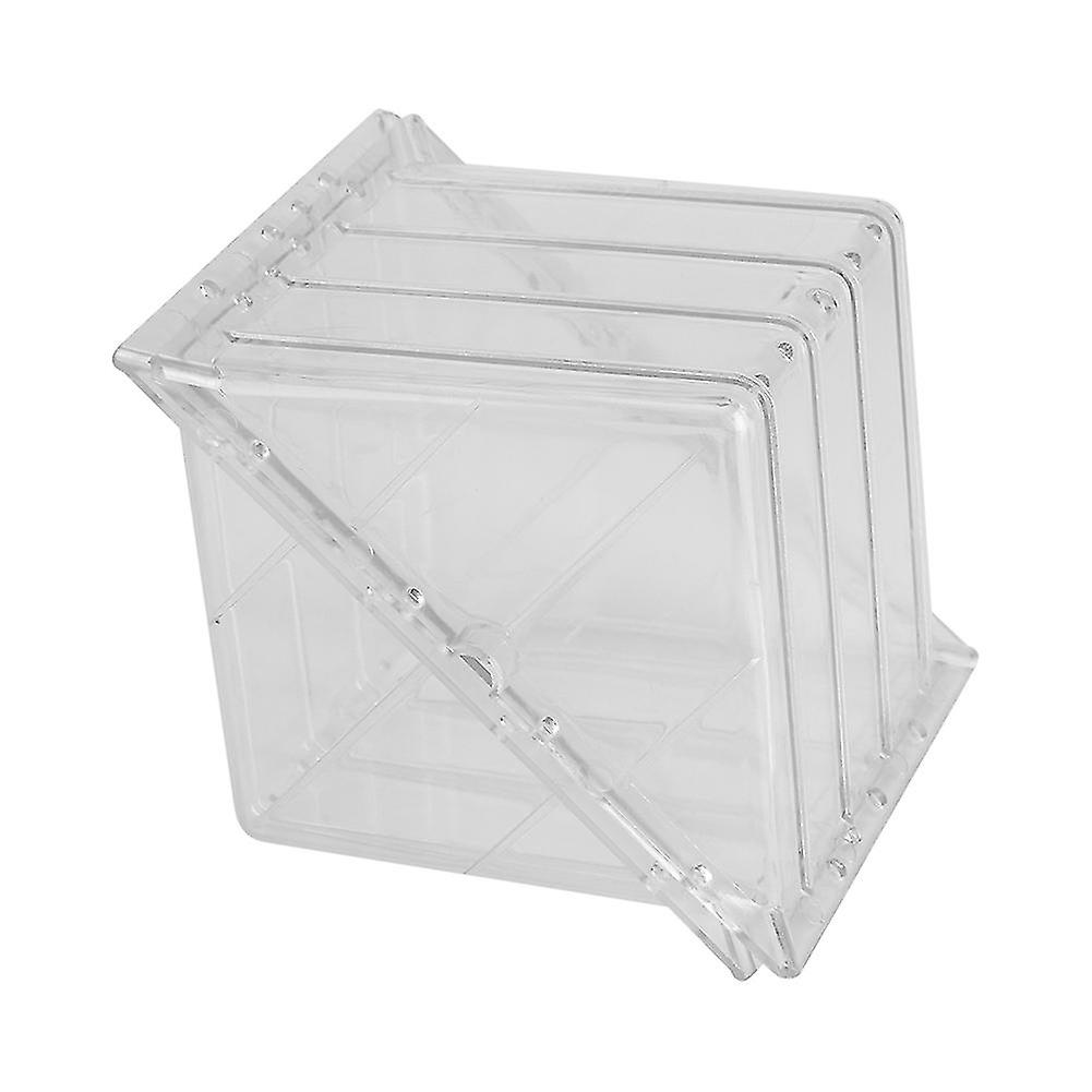 Square watermelon and pumpkin mold