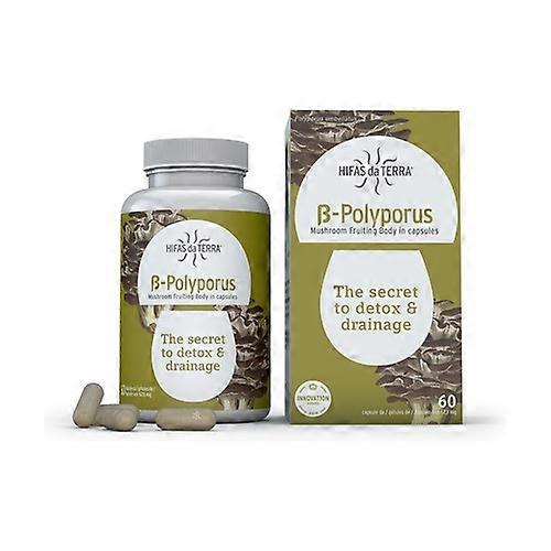 B-Polyporus 60 vegetable capsules