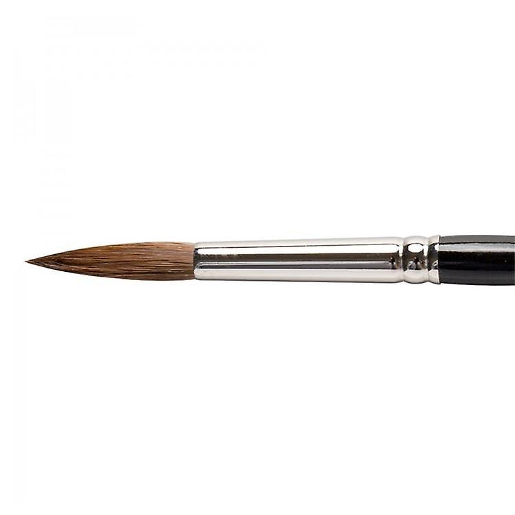 RAPHAEL Kolinsky Sable Paint Brush Series 8404, 9