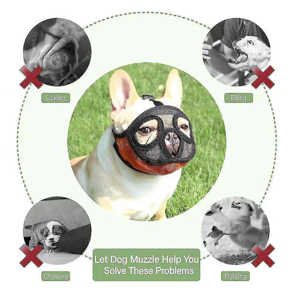 Muzzle Training Dog Muzzle To Prevent Licking Dog Muzzle To