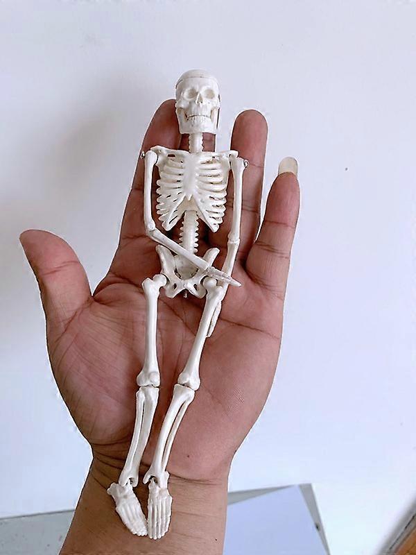 Mini Skeleton Toy Tiny Skeleton Model with Detachable Skull for K