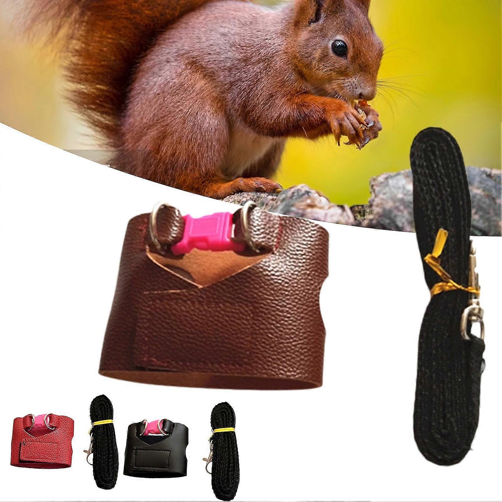 Squirrel Leash Escape Proof Easy Control Accessory Squirrel Train Tool Leash Split Vest For Outdoor-MXBC