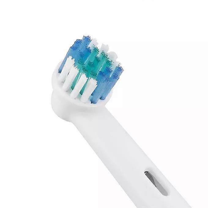 12-Pack O B Compatible Toothbrush Heads