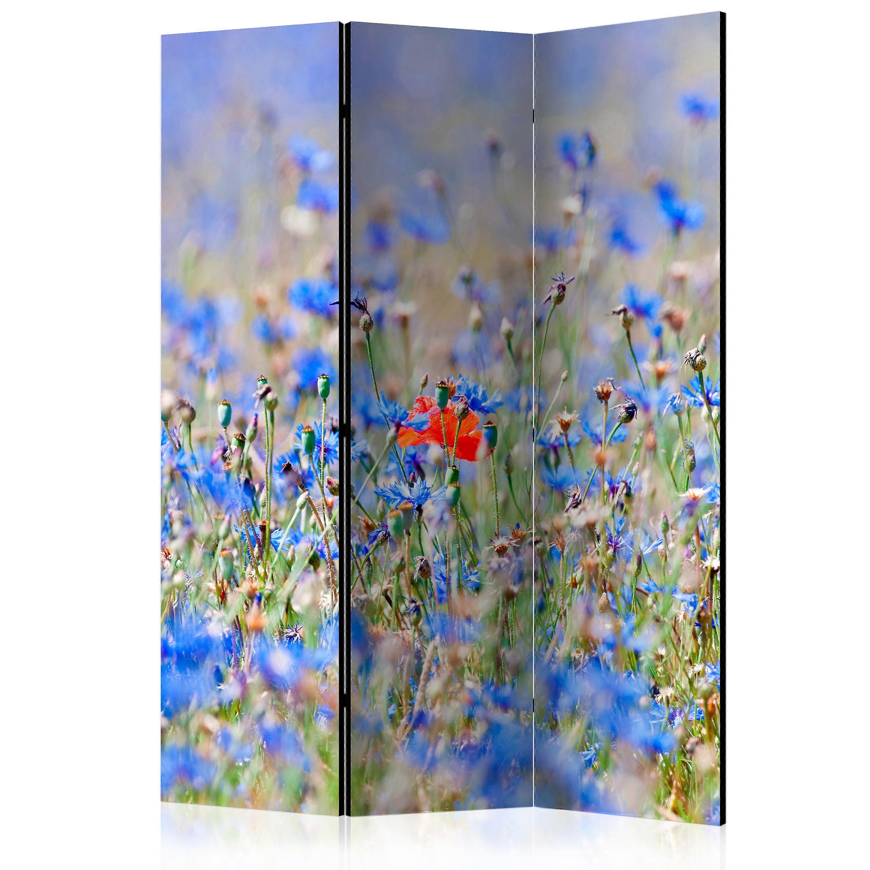 Room Divider - A sky-colored meadow - cornflowers