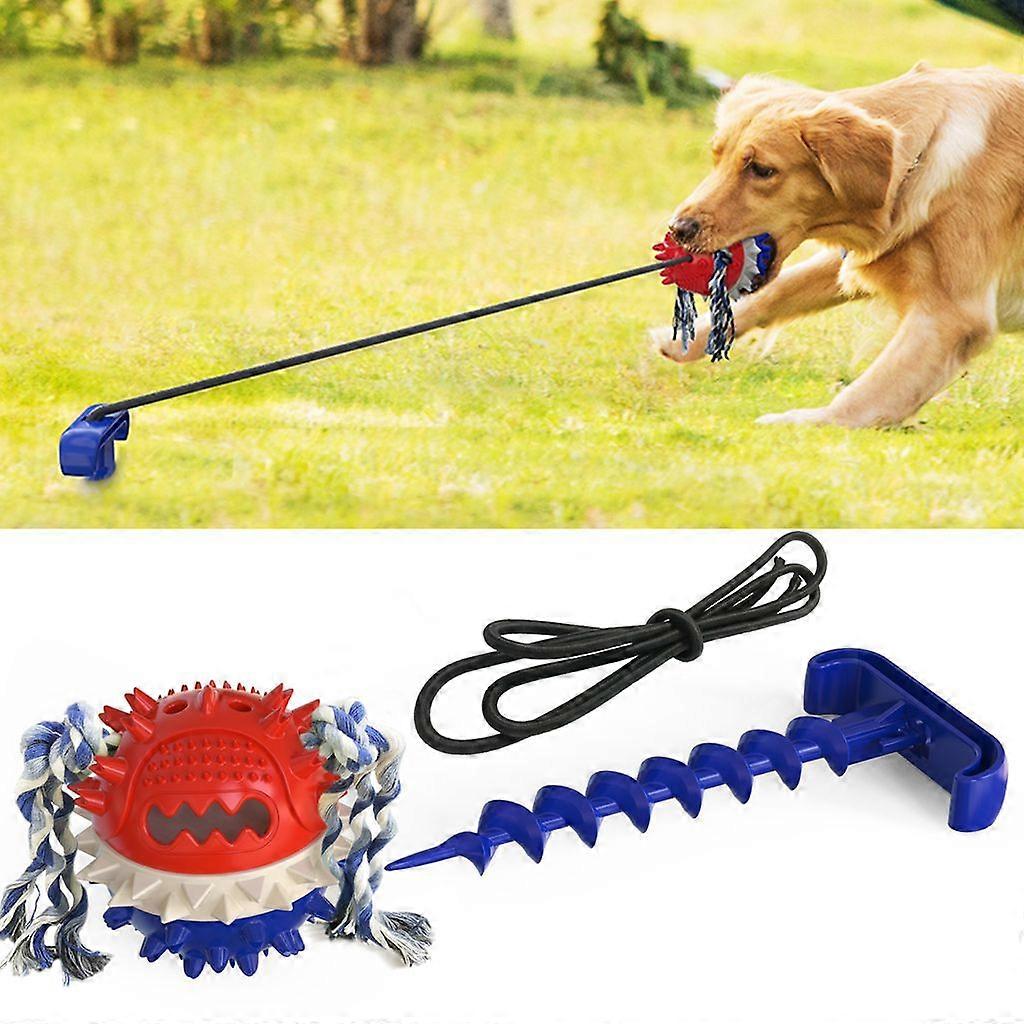 Interactive Chew-Resistant Treat-Dispensing Ball With Squeaking Molar Design