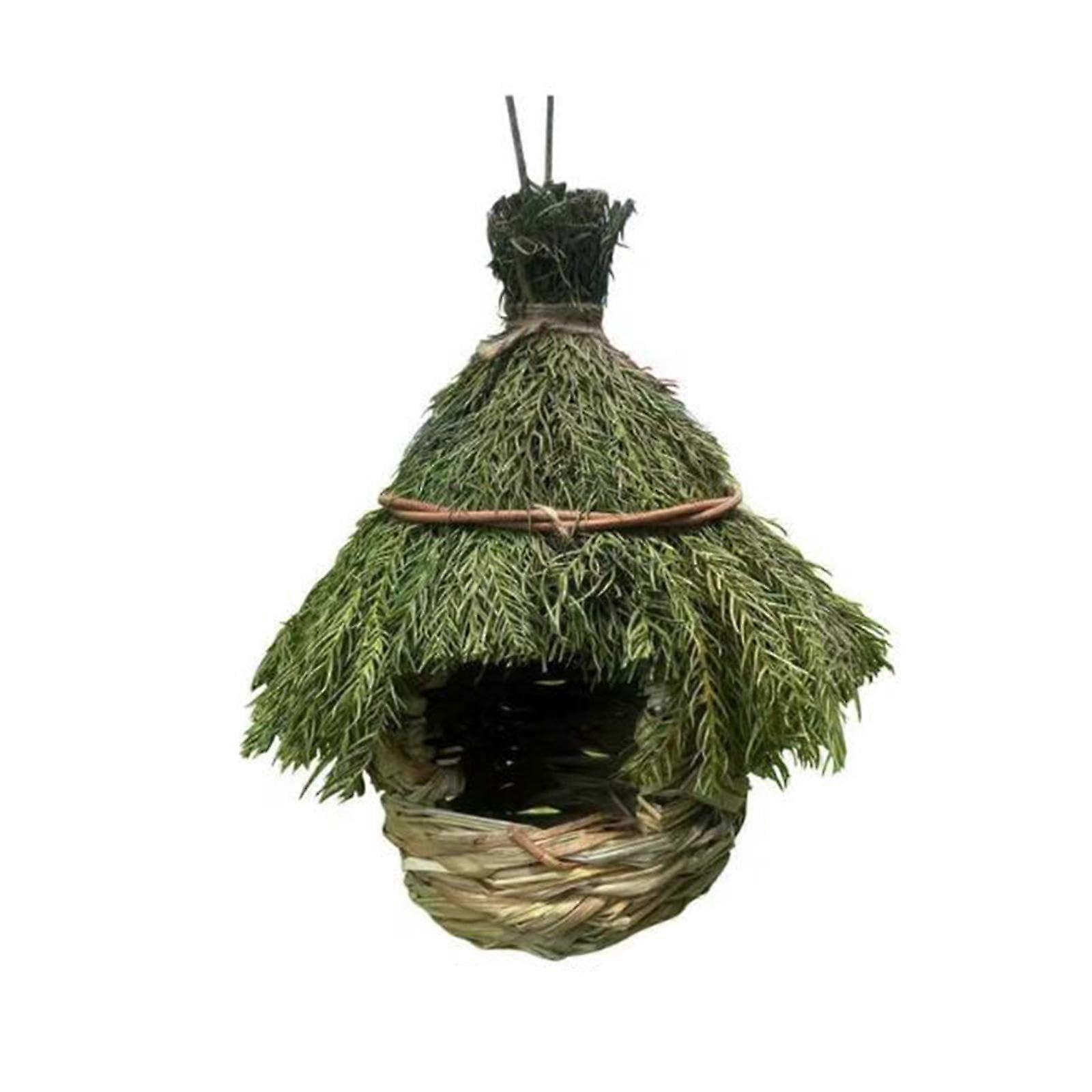 Habitat of the Bird's Nest Hut