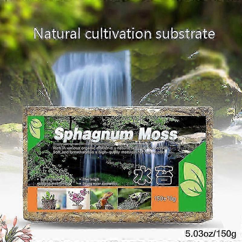 Natural Compressed Moss 1 Pack Sphagnum for Orchids Water Retention Plants