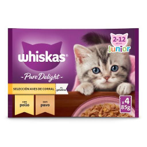 Whiskas Pure Delight Junior Wet Food Selection of Jelly Birds for Kittens