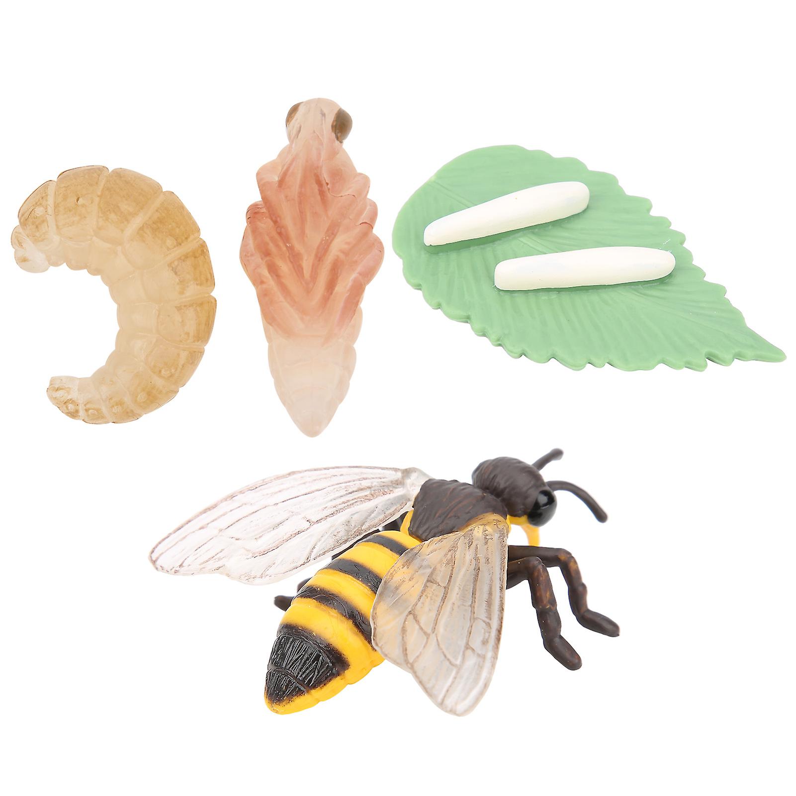 Insect model toy growth cycle bee model simulation animal educational toy for children