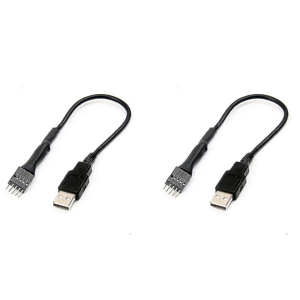 2pcs 20cm 9 Pin To External Usb A Pc Mainboard Internal Data Extens Cable