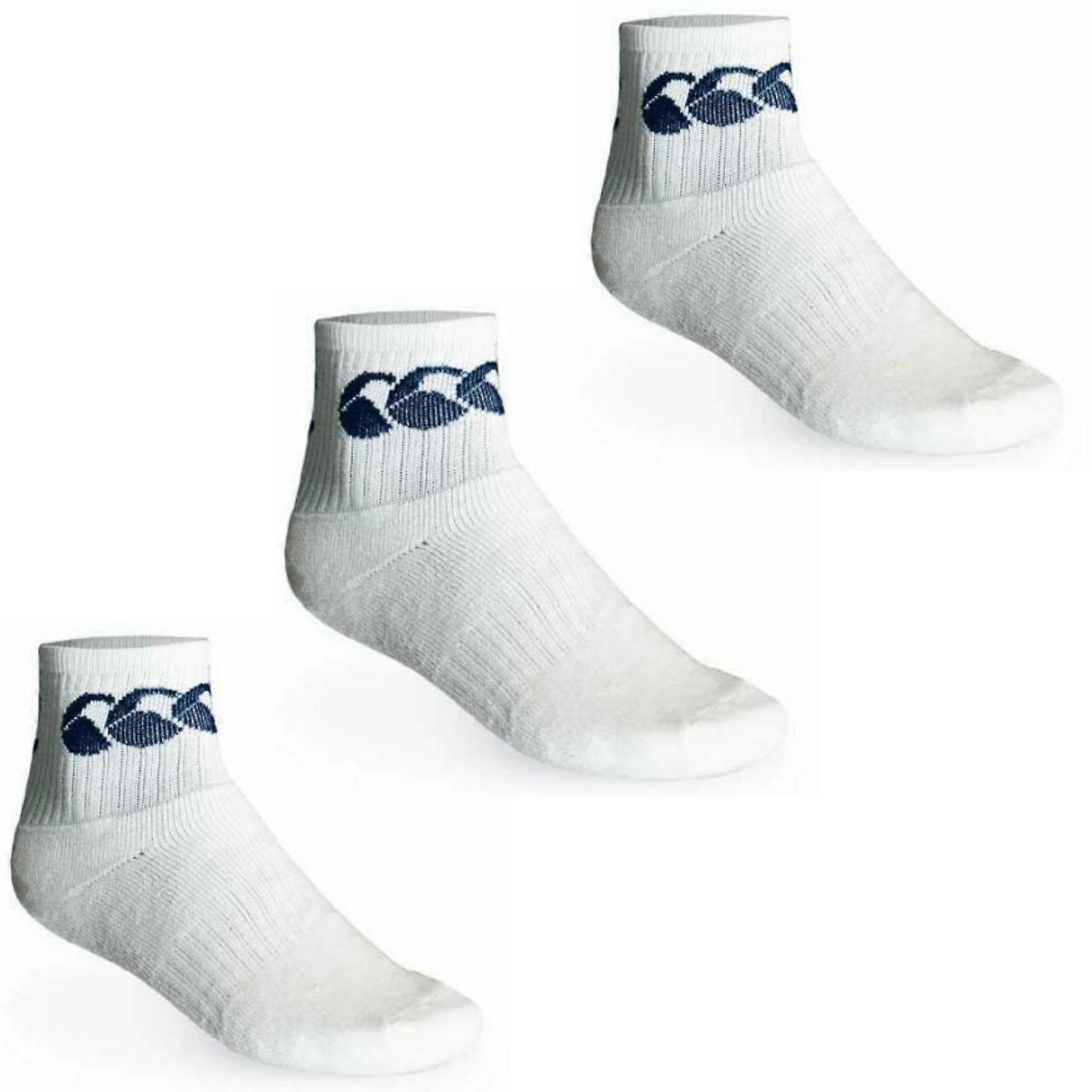 3pk CCC CANTERBURY Cotton Sport Socks Crew Pack