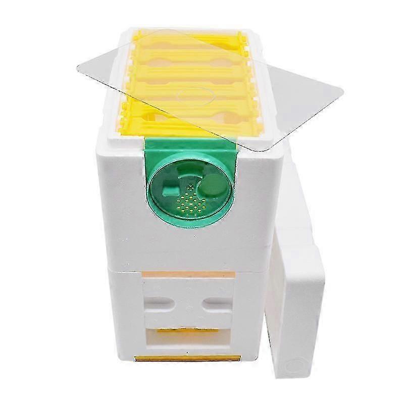 Honey Beehive Frames Beekeeping Box Bee Hive King Pollination Box Bee Mating Copulation Box Beekeeping Equipment FP