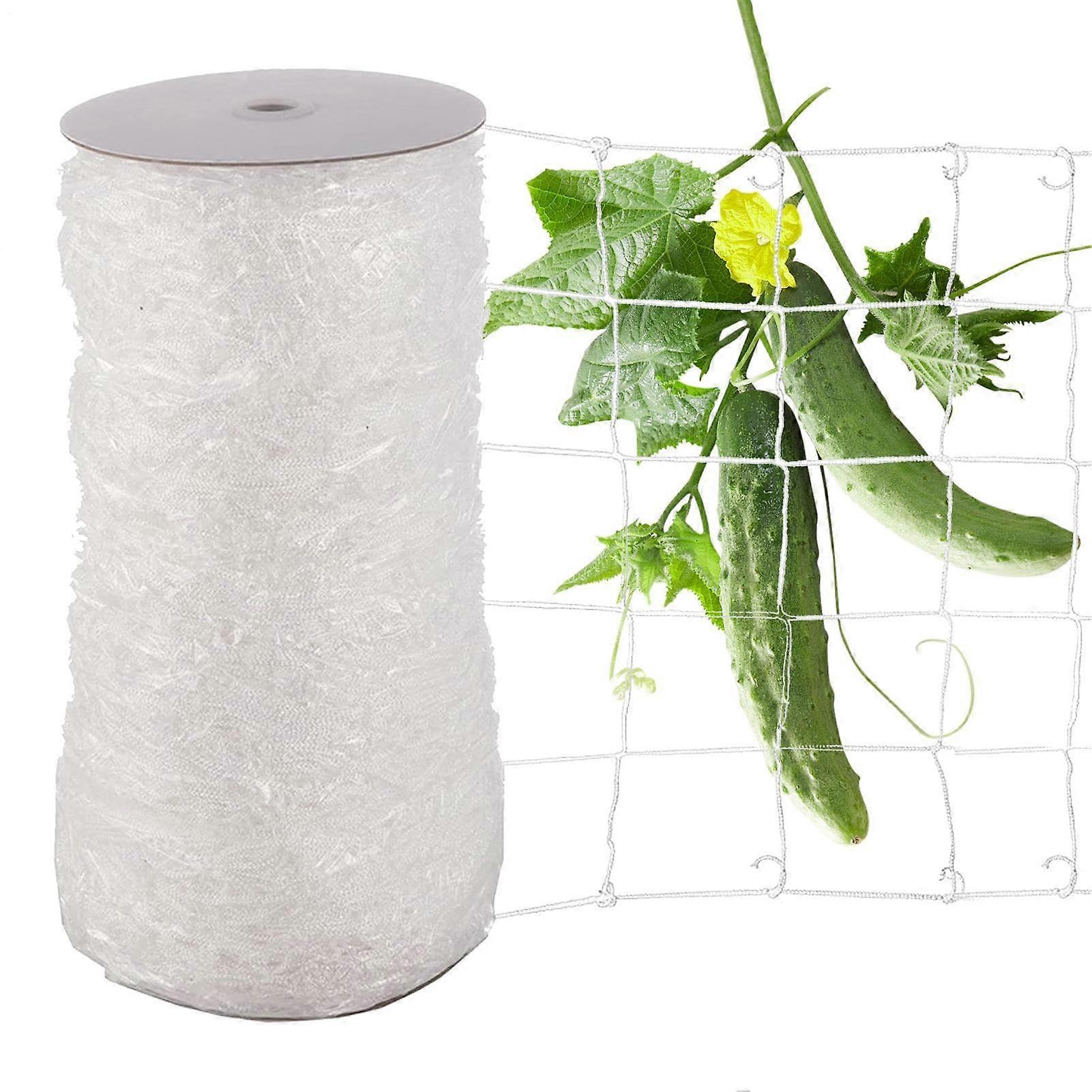 Scrog Net 70 x 70 cm, Nylon Hydroponic Support Net with 4 Hooks for Grow Tent, Vegetables, Fruits, and Flowers