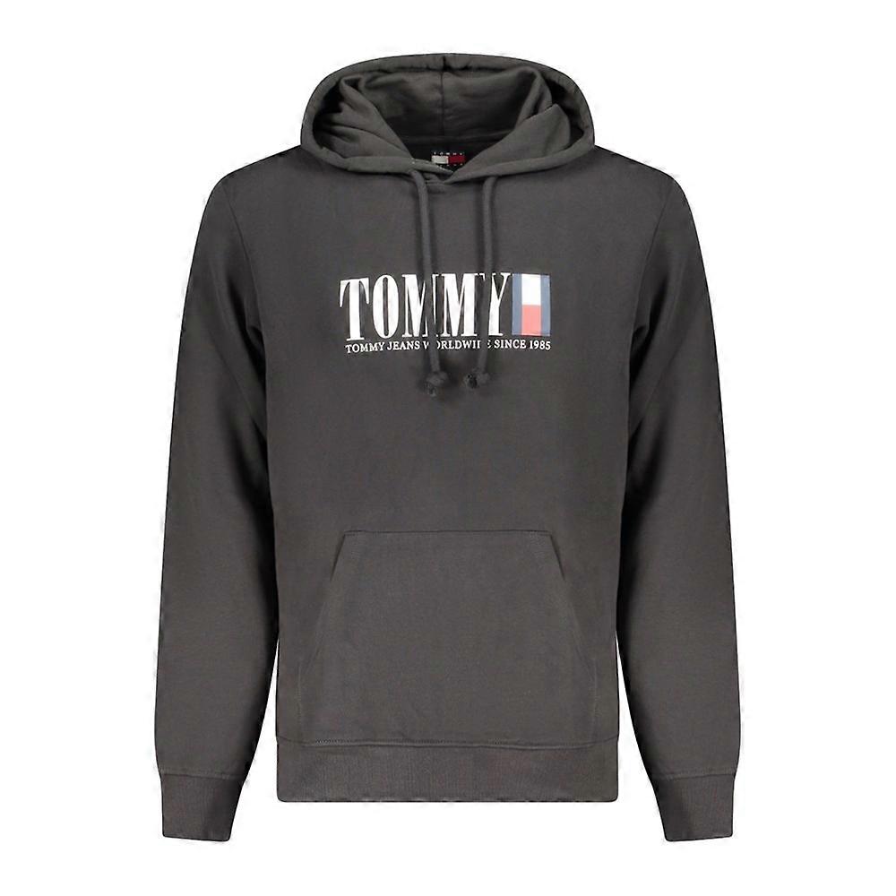Sweatshirts Tommy Hilfiger dm0dm22144