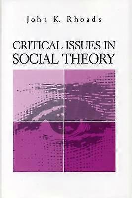 Critical Issues in Social Theory