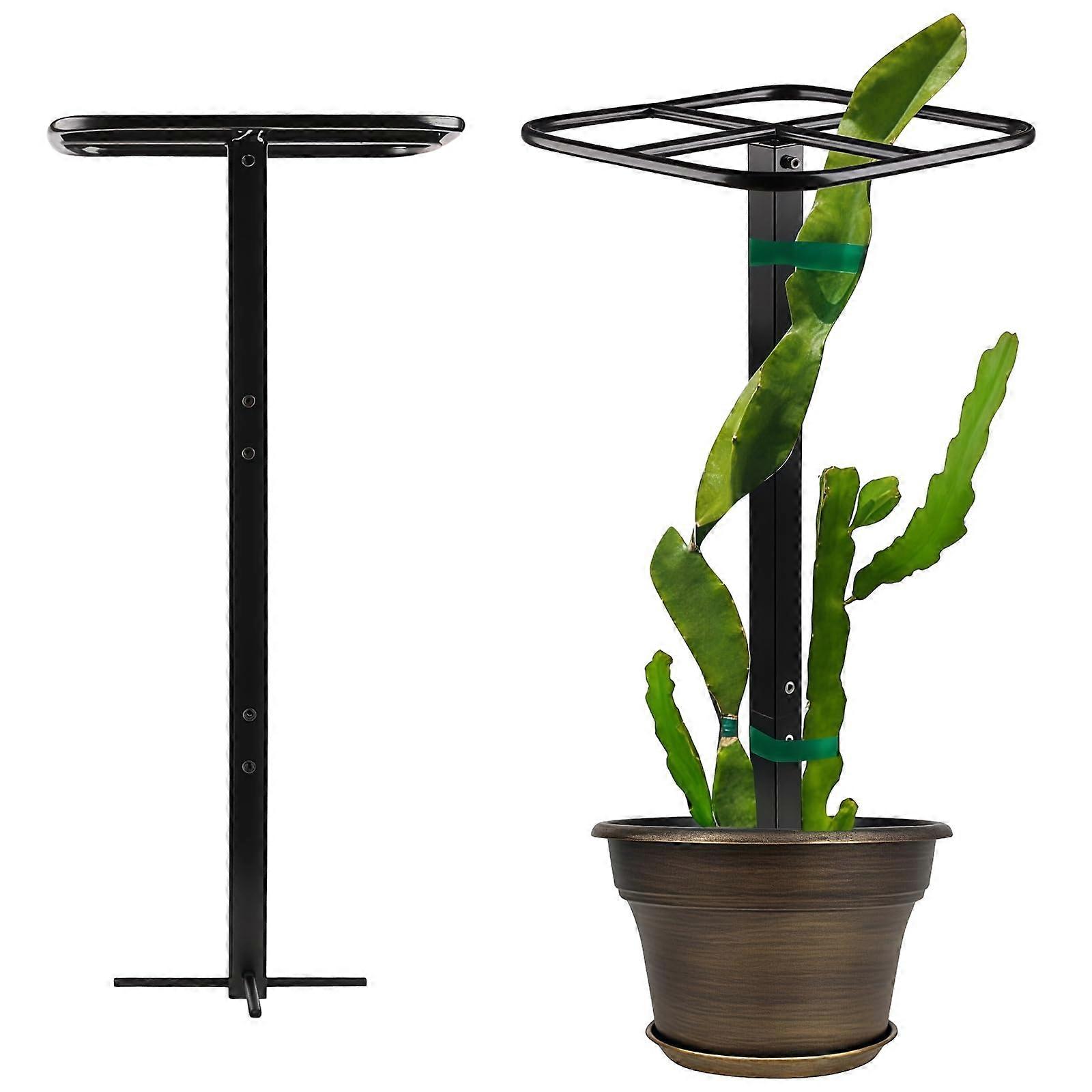 Adjustable Metal Plant Trellis for Dragon Fruit and Cucumbers, RustResistant Vertical Garden Support