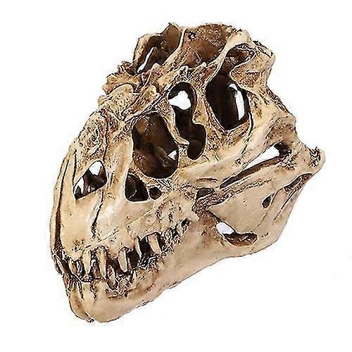 Individuality Unique Resin Dinosaurs Skull Model For Indoor