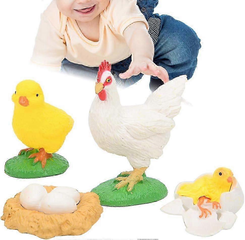 2026 Highly Simulation Animal Life Cycle Model 4 Part Animal Learning