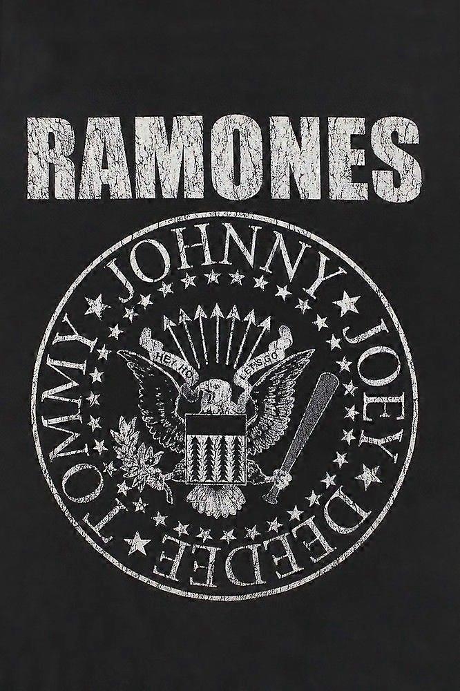 Ramones 1Stress Reliever Jigsaw Puzzle P2094