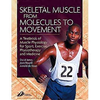 Skelettmuskulatur: Ein Lehrbuch der Muskelphysiologie für Sport, Bewegung und Physiotherapie: Ein Lehrbuch der Muskelphysiologie für Sport, Bewegung, Physiotherapie