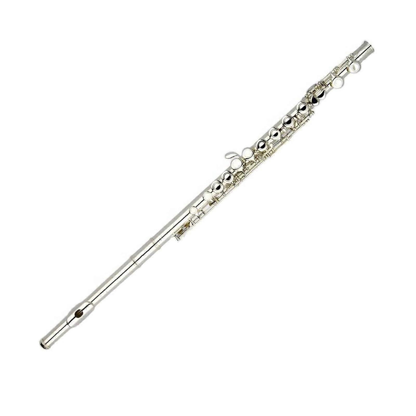 Student Flute Closed Hole Split E Key Silver Plated Beginner Design with Case and Cleaning Cloth