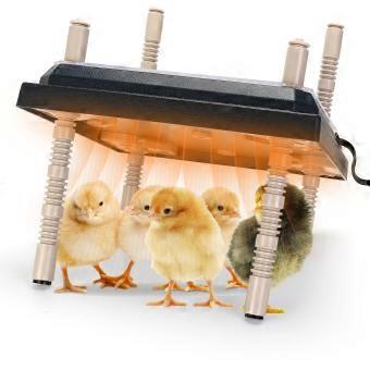 Chick Brooder Heating Plate 10x10 Adjustable Height Chicken Brooder Heater 15W Energy‑Saving Warmth