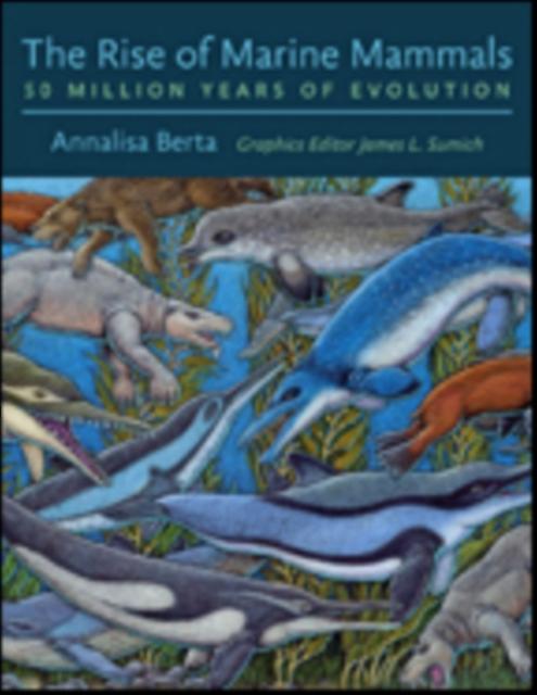 The Rise Of Marine Mammals by Berta & Annalisa Professor & San Diego State University Paperback Book