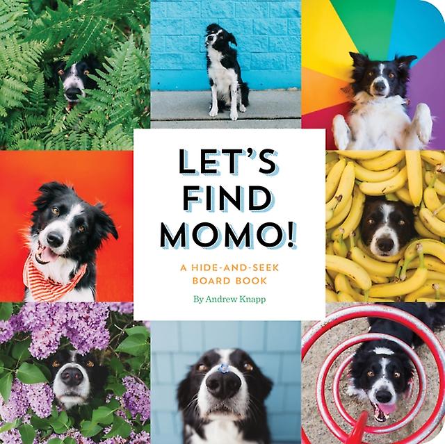 Lets Find Momo by Andrew Knapp Paperback Book