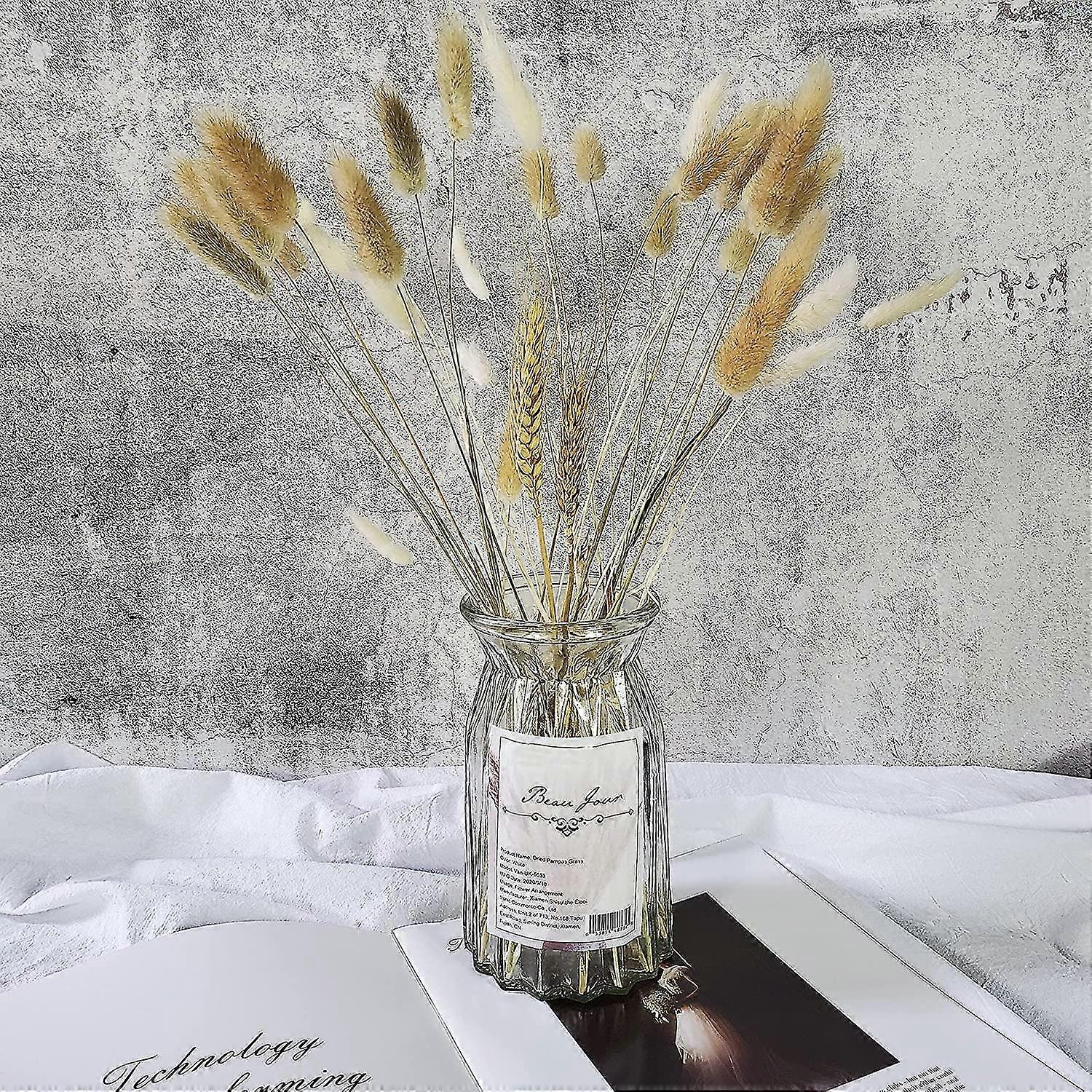 Pampas Grass Decor XHXSTORE 120pcs Black Dried Bunny Tails Flowers Mini Pampas Grass Natural Lagurus Ovatus Dried Floral Arrangement Dry Flowers With Stems For Boho Home Wedding DIY Craft Party Decor (16