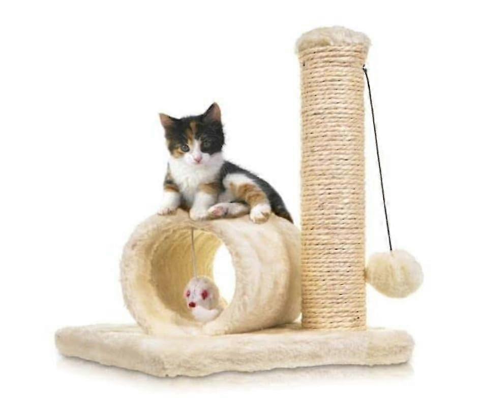   ,    -   29 "      -      