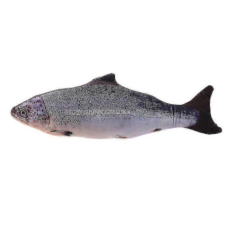 Fish Shape Cat_s