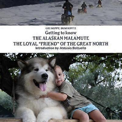 Getting to know THE ALASKAN MALAMUTE THE LOYAL FRIEND OF THE GREAT NORTH