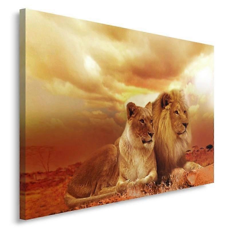 Lienzo, Pareja de animales leones - 60x40