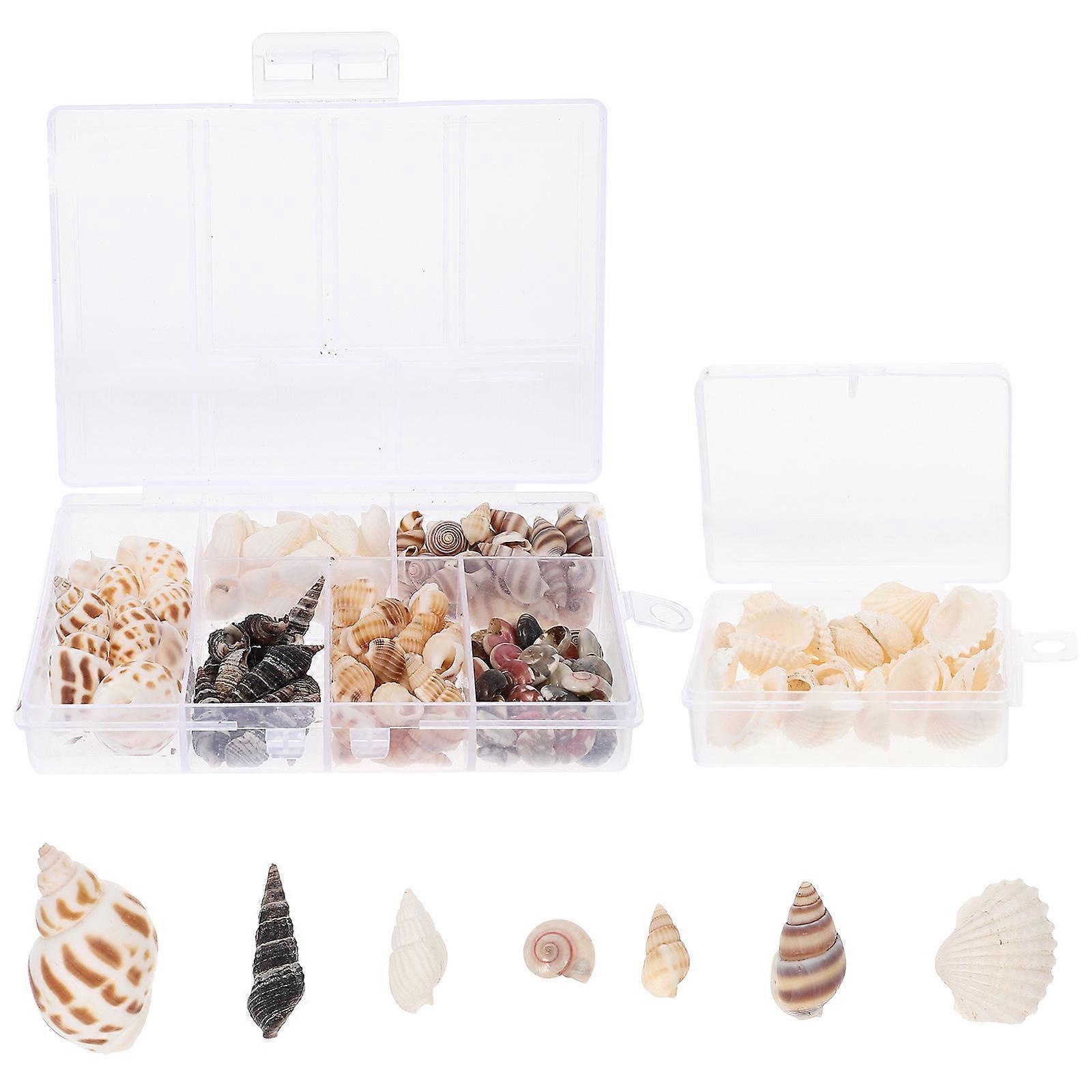 Assorted Color Shells Ornaments for DIY Handicraft Accessory 2 Boxes