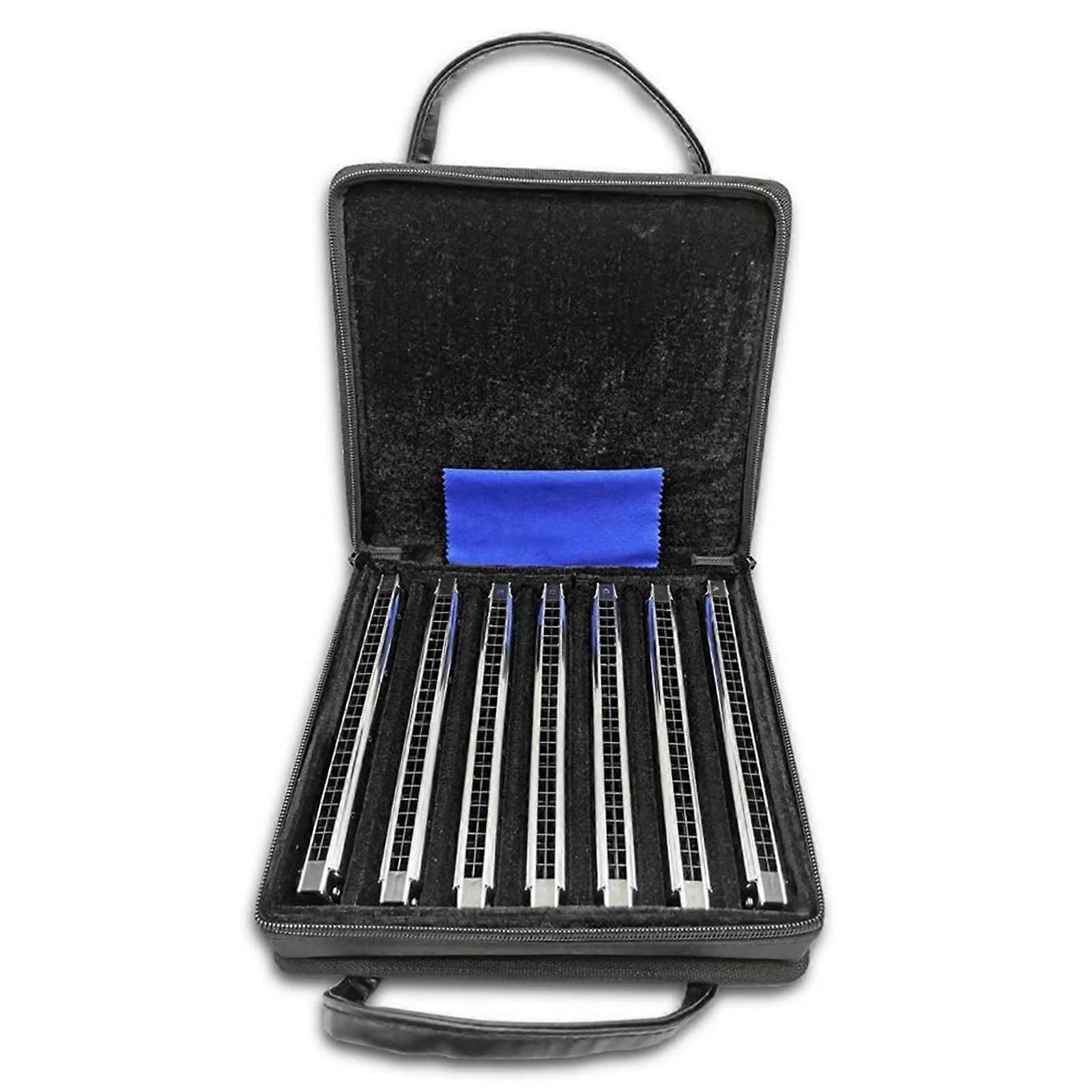24 Hole Polyphonic Harmonica Set for Beginners, Stainless Steel with ABS Comb and Carrying Case
