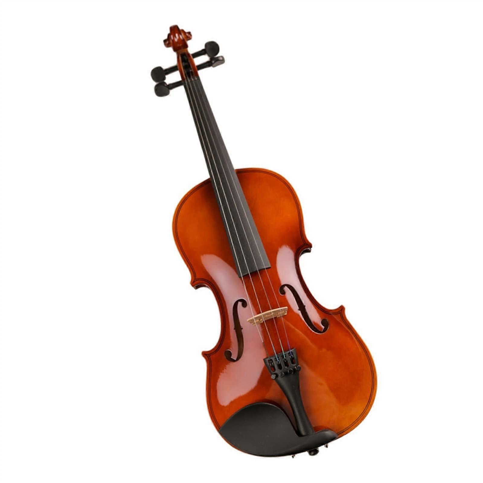 1/2 Size Student Violin Solid Wood Beginner Acoustic Outfit with Case Bow Strings Shoulder Rest