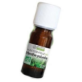 Peppermint essential oil 10 ml of essential oil (Mint)