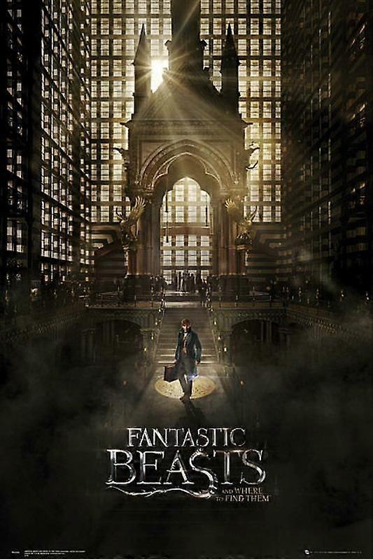 Fantastic Beasts 1 Brain-Teasing Puzzles BD-5527